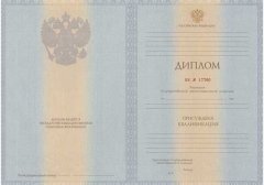 Диплом специалиста 2011-2013 год 