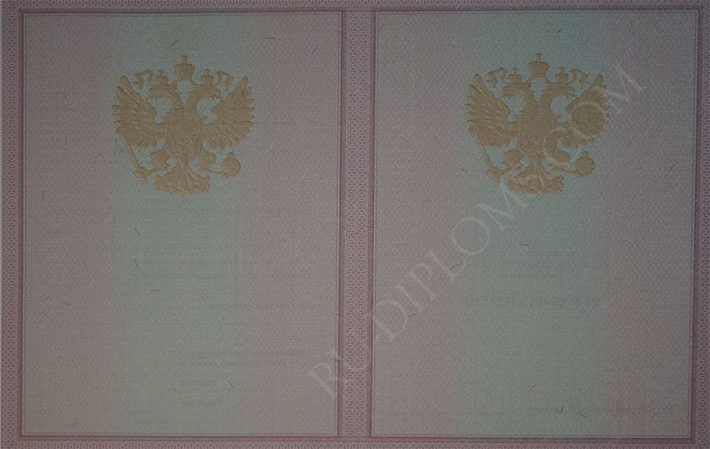 Диплом техникума или колледжа 2004-2006 год 