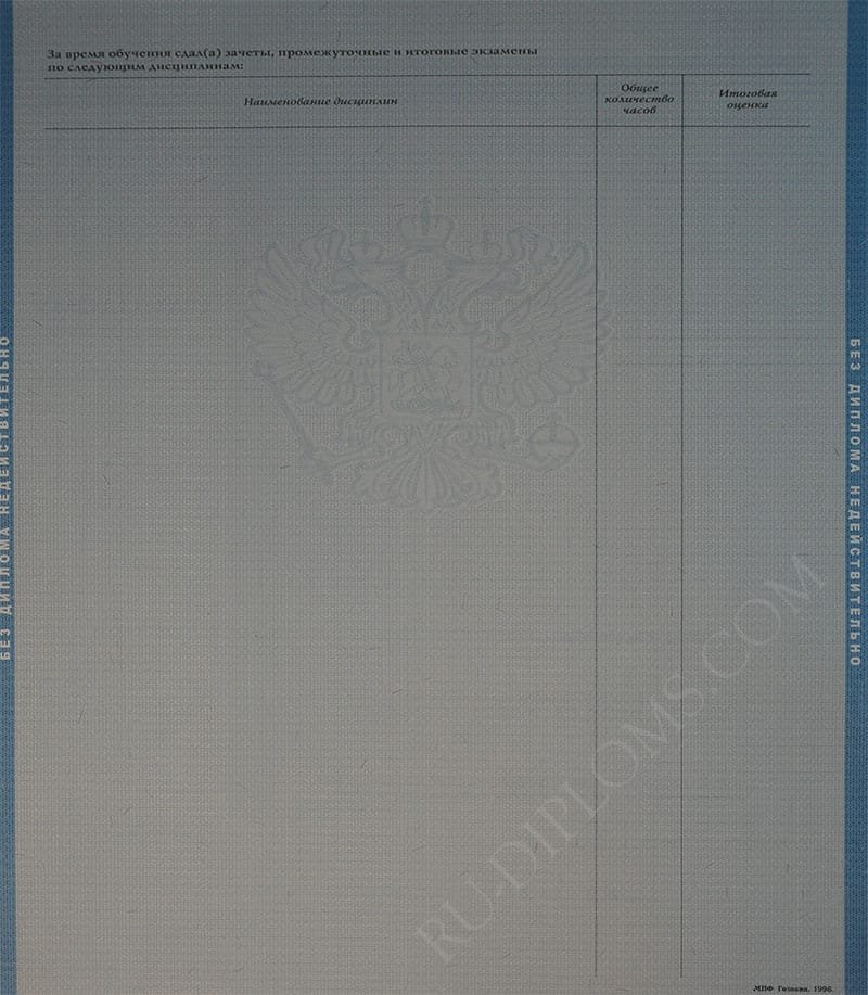 Диплом бакалавра 2004-2009 год  