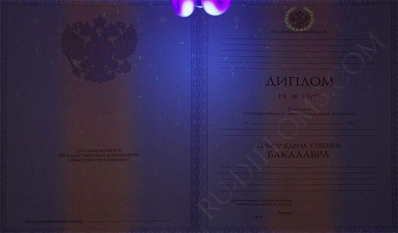Диплом бакалавра 2010-2013 год  